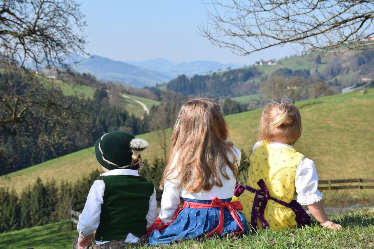 Ferienwohnung Kornihof Waidhofen an der Ybbs Exterior foto